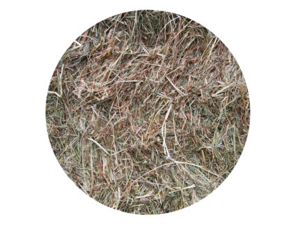 Foin Naturéquine