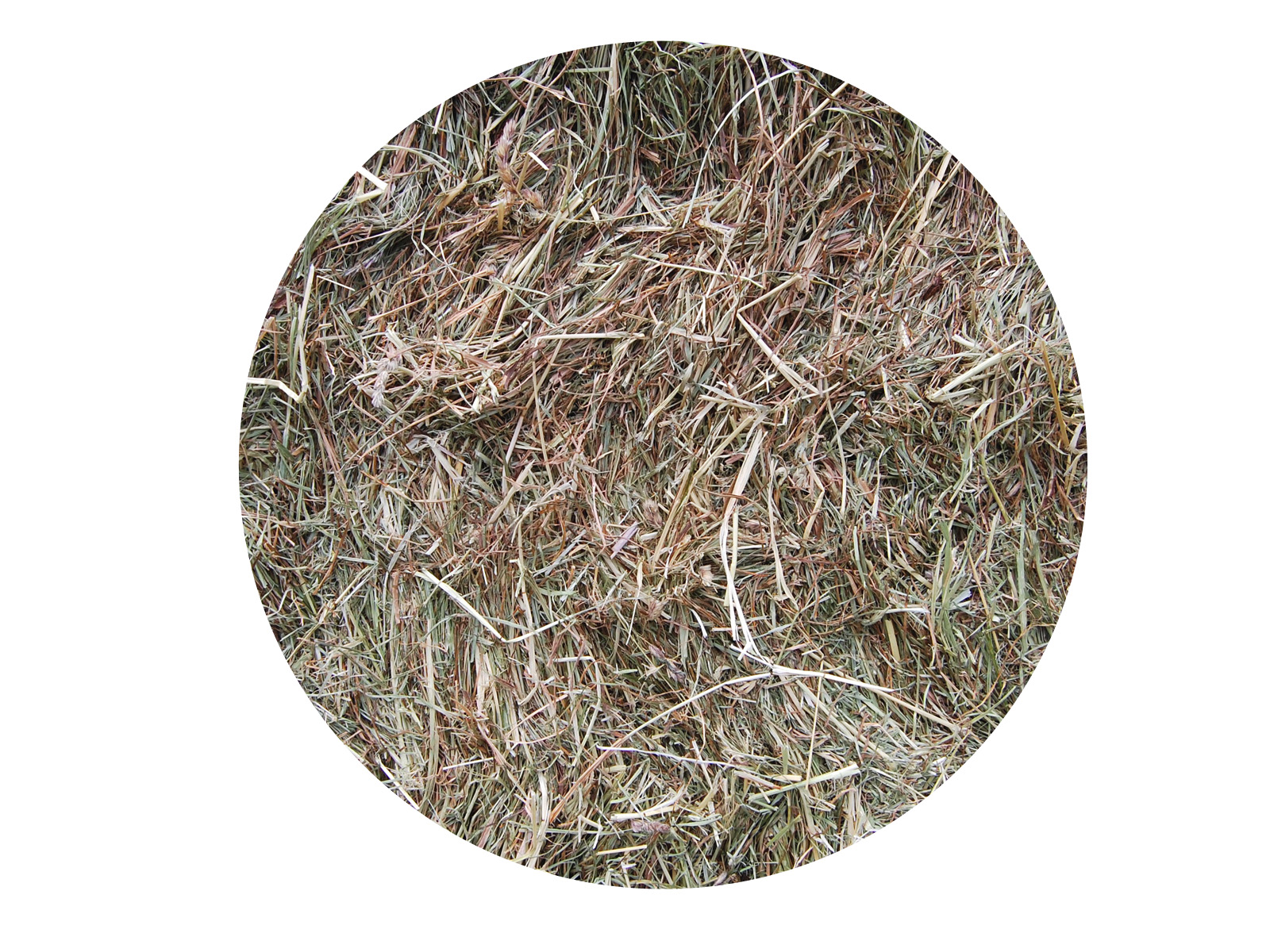 Foin Naturéquine