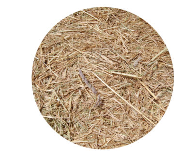 Foin Herbe Alliance