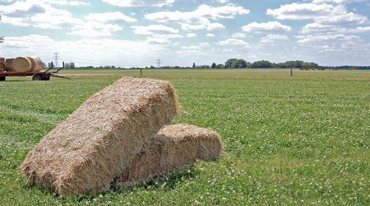 Foin Herbe Alliance
