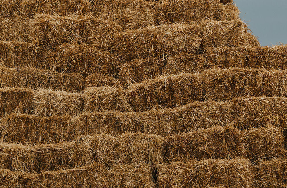 Paille de blé Palettisé en 24 bottes moyennes densité de 25kg