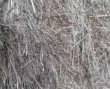 Foin bio de prairie naturelle