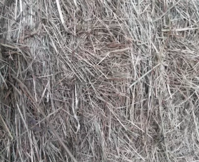 Foin bio de prairie naturelle