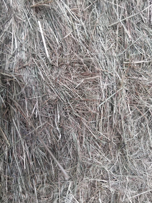 Foin bio de prairie naturelle